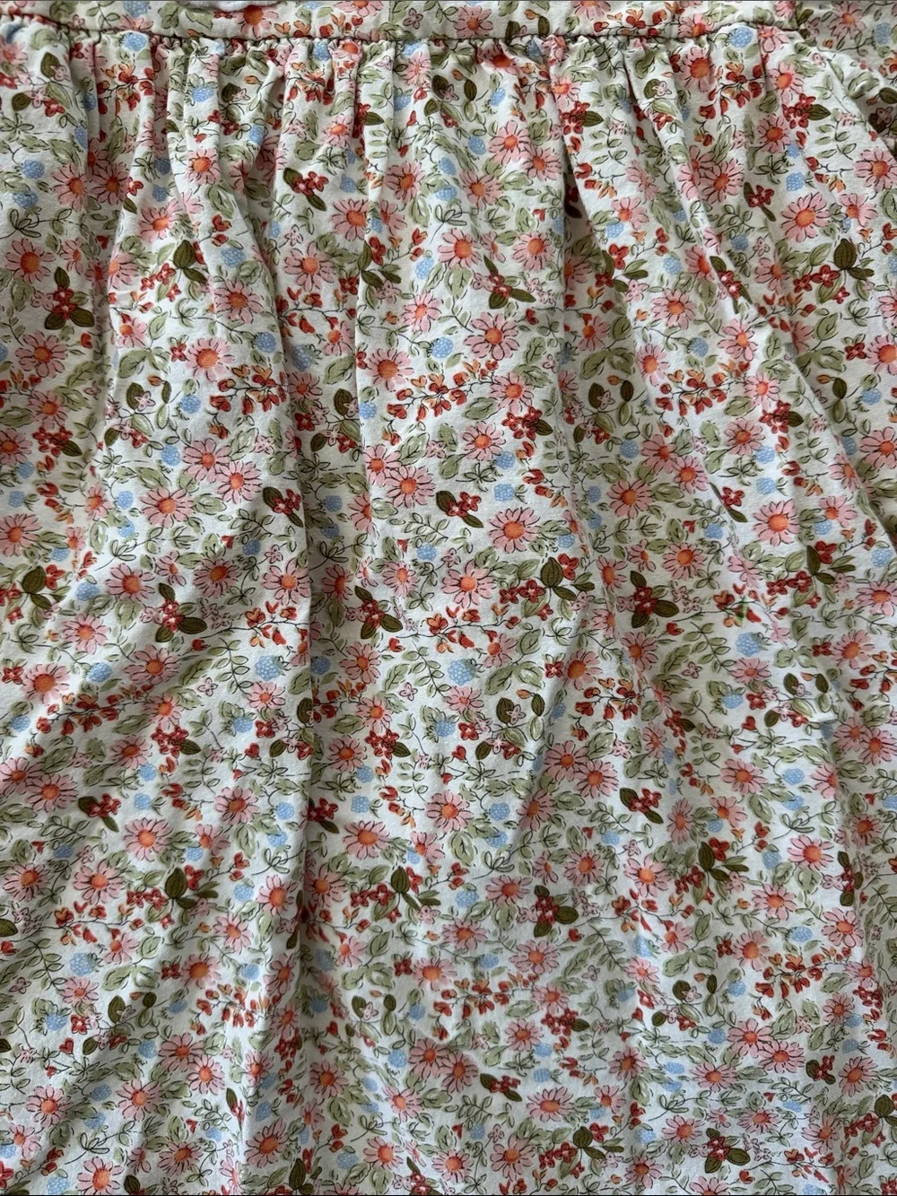 Cecil And Lou Floral Lace Collar Dress